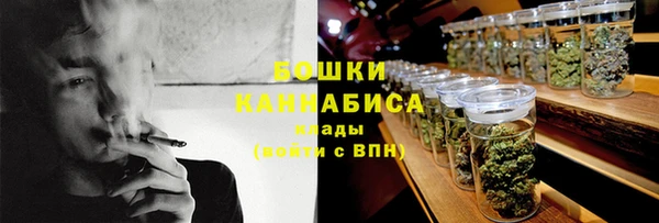 бошки Ельня