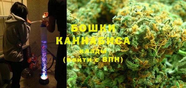 гидра Заводоуковск