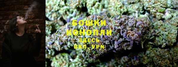 гидра Заводоуковск