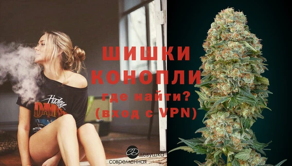 бошки Ельня