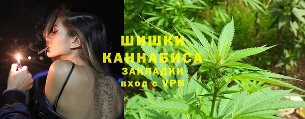 бошки Ельня