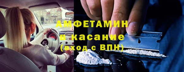 бошки Ельня